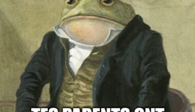Alors, qui est concerné ?