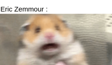 Affrication de la France