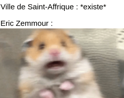 Affrication de la France