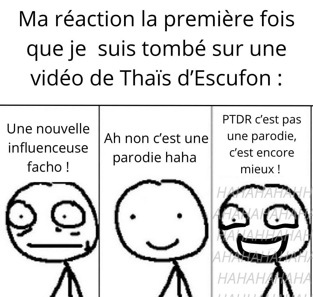 Ce qui me fait le plus rire c’est de voir certains cracher sur Sandrine Rousseau tout en simpan sur Thaïs