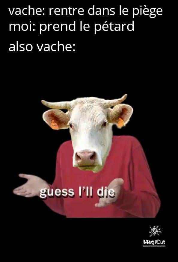Je vous laisse deviner mon métier 😁