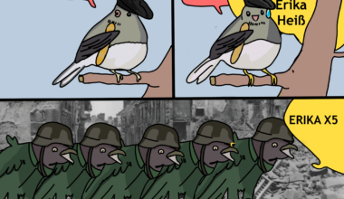 Speedrun de l'histoire de France