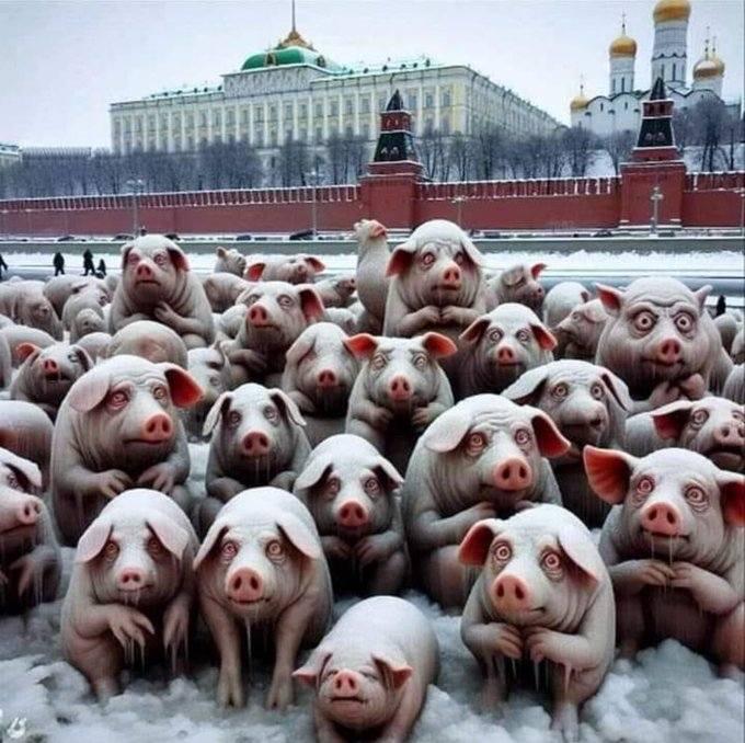 😂 ReZidents of MoZcow are waiting for Europe to freeze