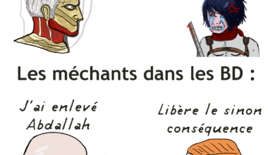 Meme journalier