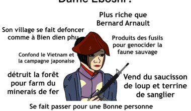 Meme journalier