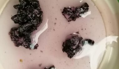 Was ist das in selbstgemachtem 2 Jahre alten Saft?