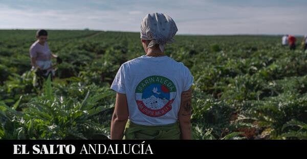 La Junta de Andalucía vs Marinaleda: El Humoso, la utopía de tierra agrícola colectiva, a punto del desalojo