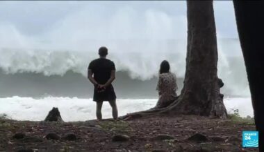 France's Reunion Island on highest alert as Cyclone Belal barrels in • FRANCE 24 English