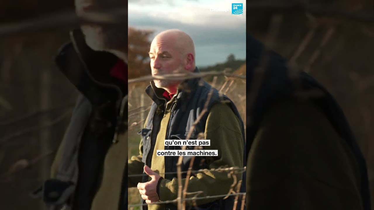 🚜 L'autoconstruction paysanne • FRANCE 24
