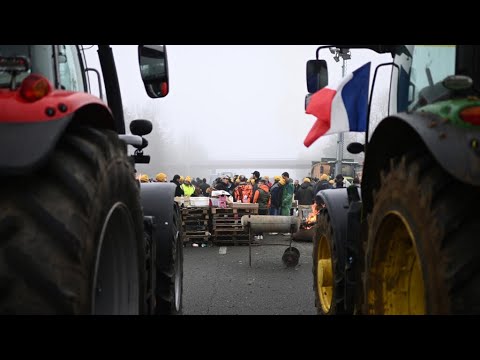 French farmers vow to continue protests despite government concessions • FRANCE 24 English