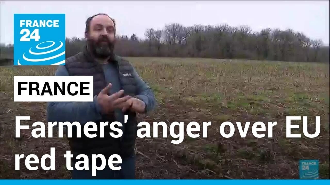 Anger over European regulations grows among French farmers • FRANCE 24 English