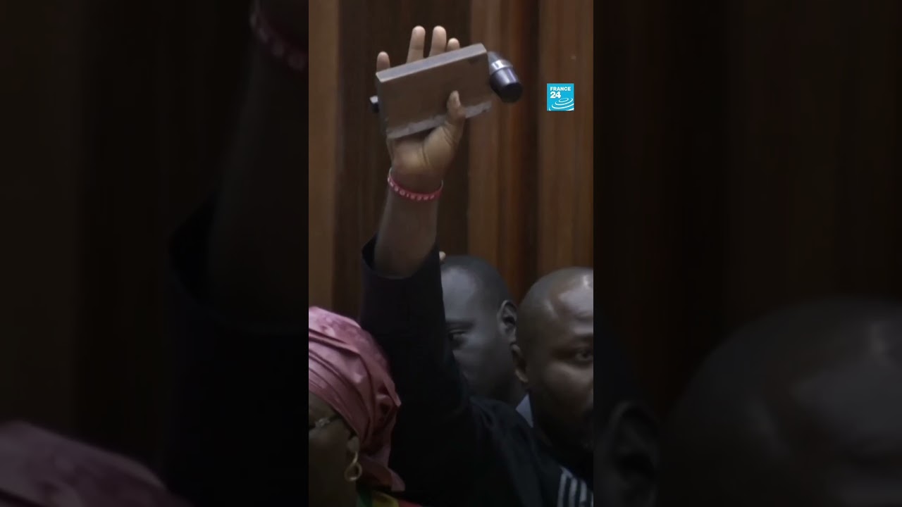 🇸🇳 Sénégal : Heurts au parlement, le report de l'élection Présidentielle acté   • FRANCE 24