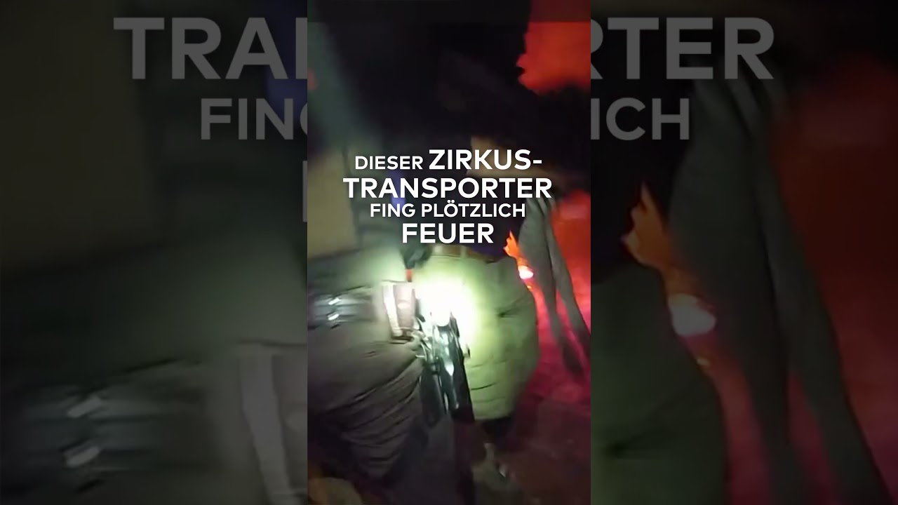 USA: "Helfer im Krankenhaus" Feuerdrama mit Zirkustieren auf der Autobahn! WELT | #shorts
