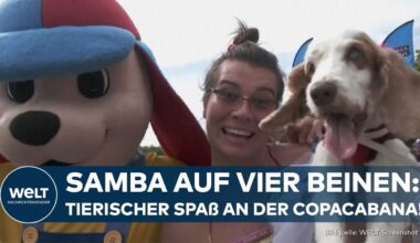 HUNDEKARNEVAL IN RIO DE JANEIRO:  Bezaubernde Vierbeiner feiern in Kostümen an der Copacabana!