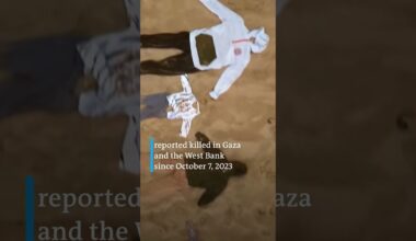 Gaza children's clothing chain on the beach in UK | DW News