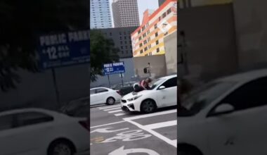 Dog owner clings to bonnet of moving car with her stolen bulldog inside
