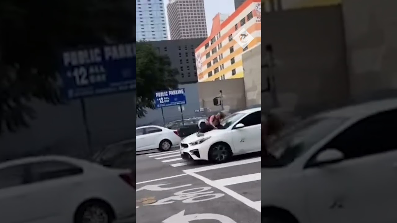 Dog owner clings to bonnet of moving car with her stolen bulldog inside