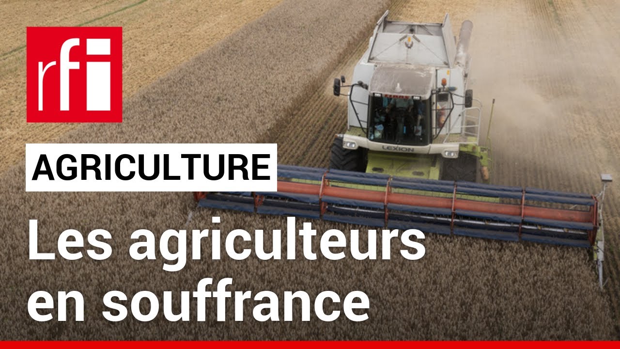Pourquoi la concurrence de l’Ukraine alimente le malaise des agriculteurs européens • RFI