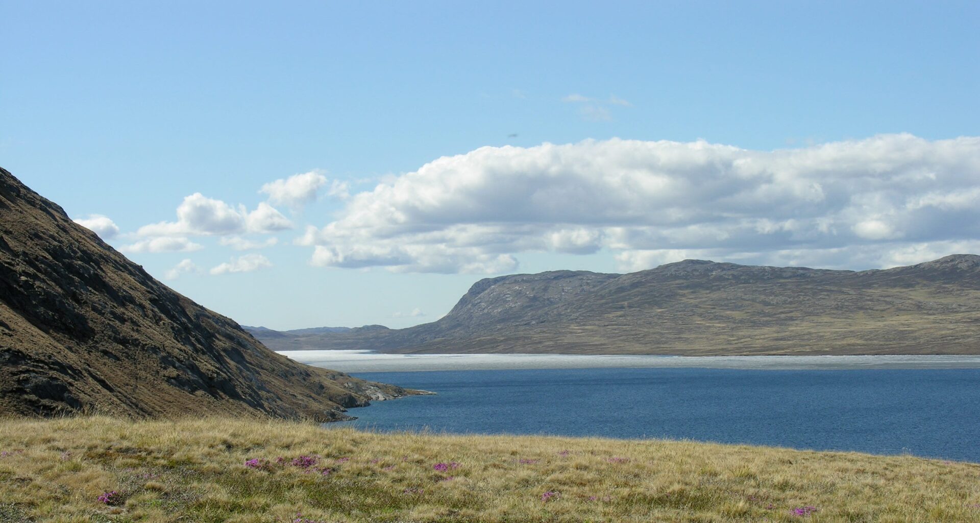 Greenland is turning green again for the first time since medieval times. Why it matters.