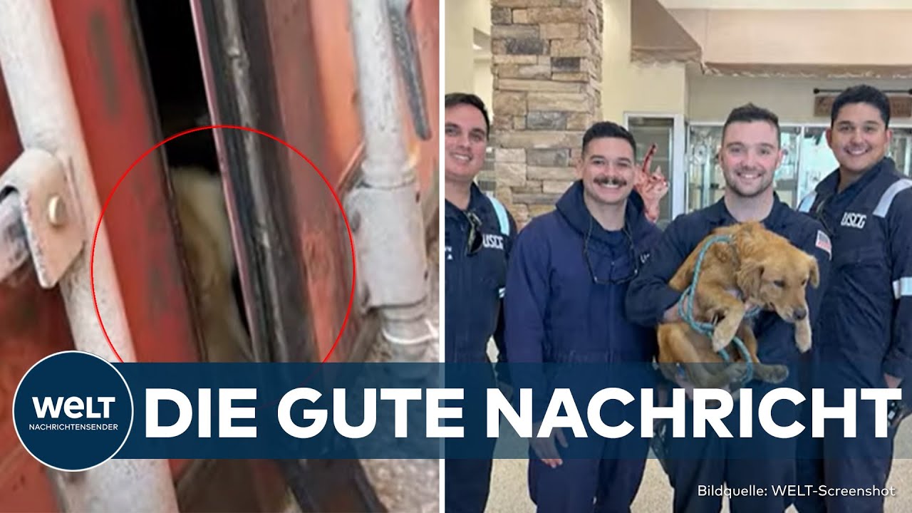 TEXAS: Eine Woche in Dunkelheit eingesperrt! US-Küstenwache rettet Hündin aus Schiffscontainer