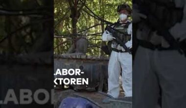 MEGA-METH-LABOR: Bisher größte Drogenküche in Mexiko entdeckt und ausgehoben | WELT #shorts