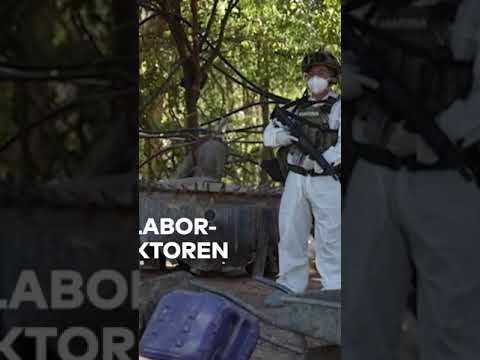 MEGA-METH-LABOR: Bisher größte Drogenküche in Mexiko entdeckt und ausgehoben | WELT #shorts