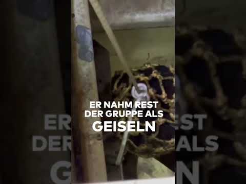 DROGENKRIEG IM ATLANTIK: Geiselnahme! Drogenschmuggler-Konflikt eskaliert vor Kanarischen Inseln