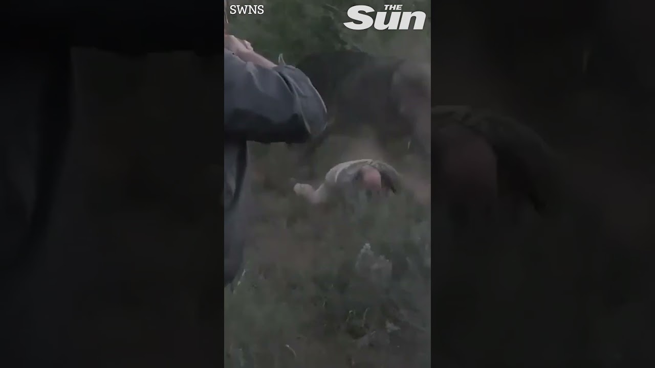 Shocking moment 2,000lb buffalo flips hunter into the air & punctures his leg