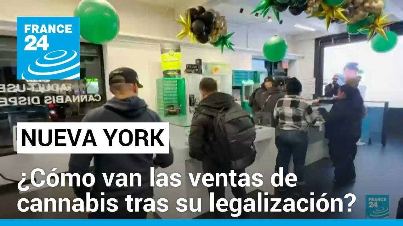 La venta legal de cannabis en Nueva York ha generado menos ingresos de los esperados • FRANCE 24