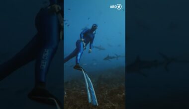 Neue Staffel "Waterwoman" mit Anna von Boetticher #ndr #short #waterwoman