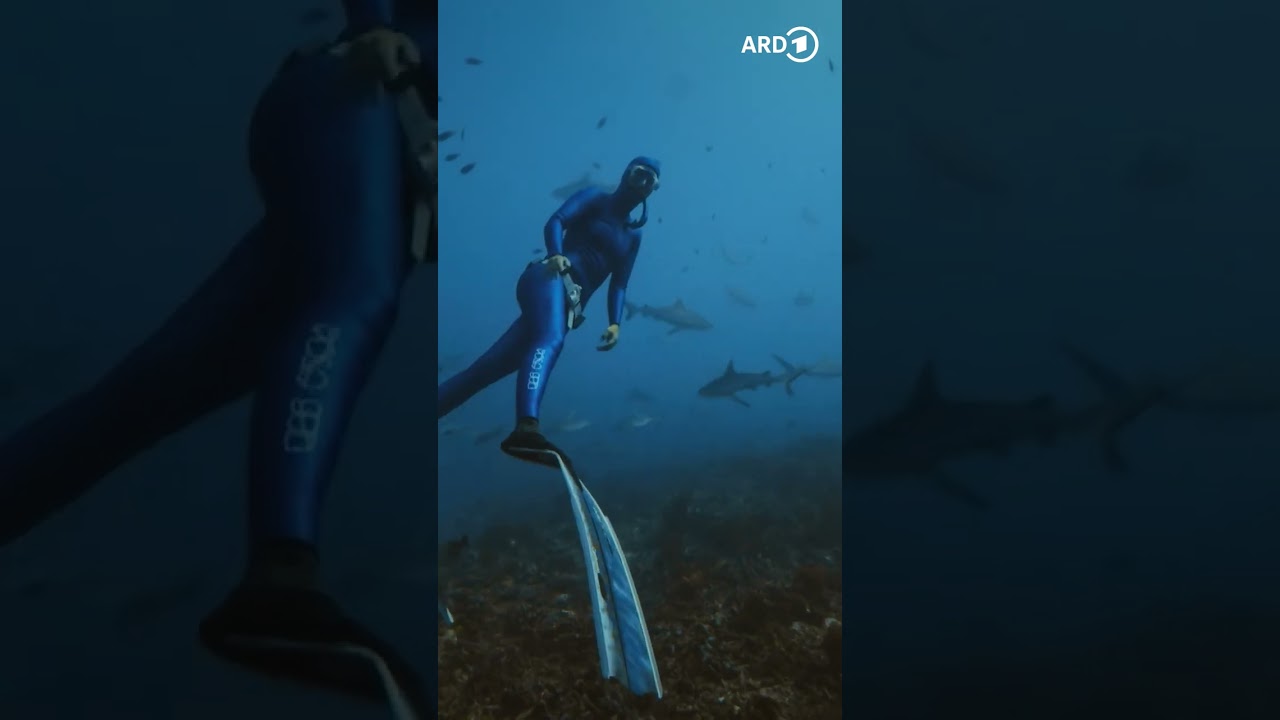 Neue Staffel "Waterwoman" mit Anna von Boetticher #ndr #short #waterwoman