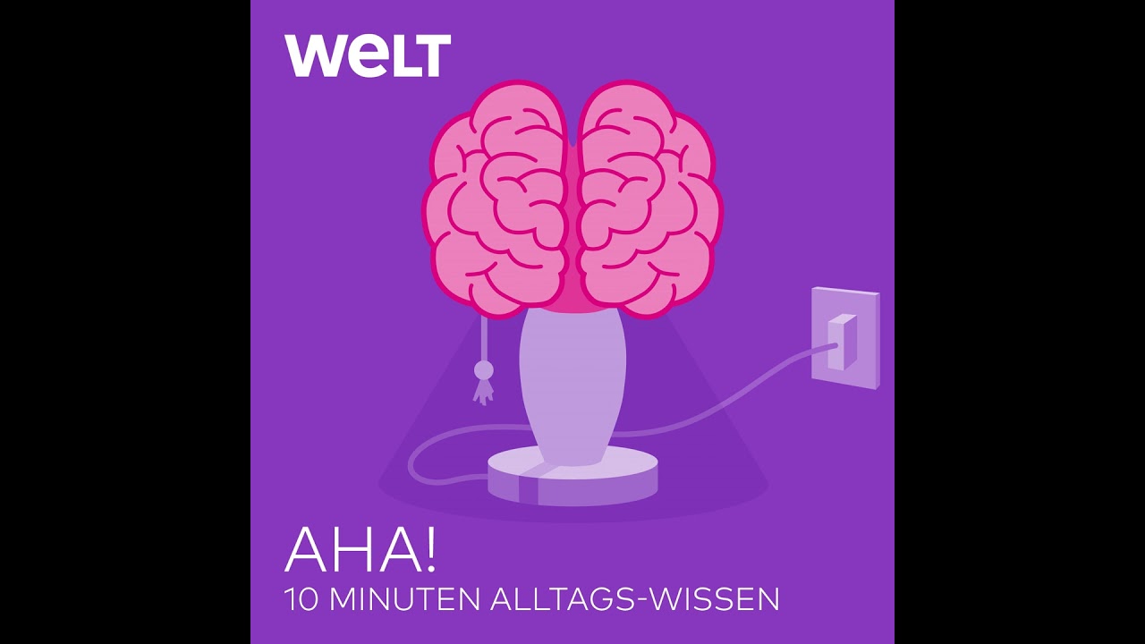 Verzeihen lernen – In vier Schritten zur Vergebung | WELT Podcast