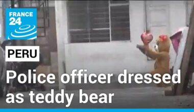 Peruvian police disguise as teddy bear to capture alleged drug dealer • FRANCE 24 English
