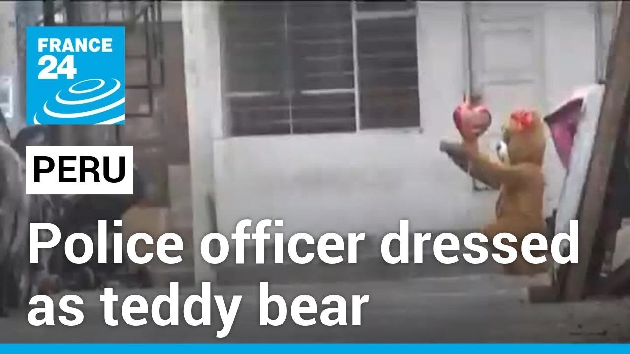 Peruvian police disguise as teddy bear to capture alleged drug dealer • FRANCE 24 English