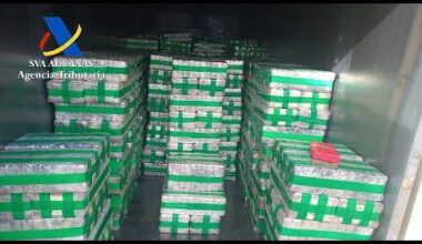 Huit tonnes de cocaïne saisies dans le port d'Algésiras