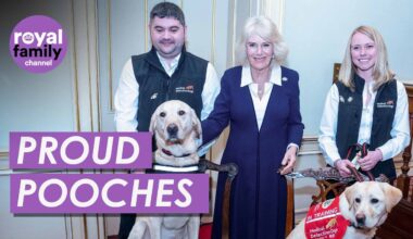 Adorable Medical Detection Dogs Win Over Queen Camilla