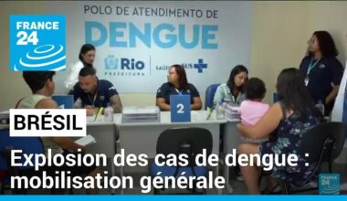 Explosion des cas de dengue au Brésil : le pays ordonne la mobilisation générale • FRANCE 24