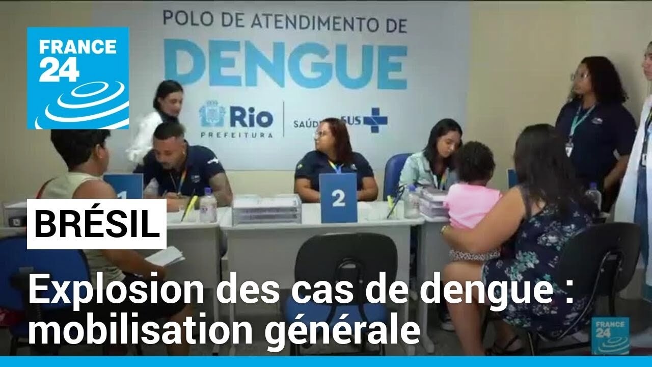 Explosion des cas de dengue au Brésil : le pays ordonne la mobilisation générale • FRANCE 24