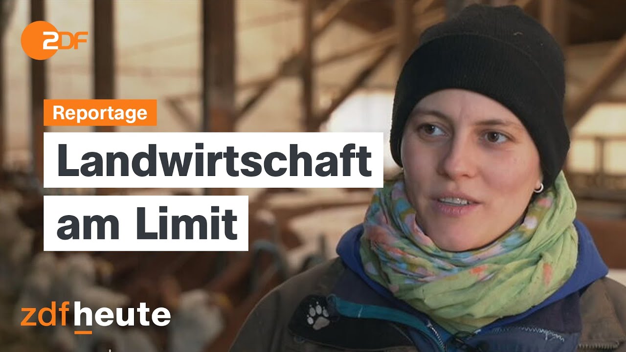 Bauern: Wer profitiert von den Subventionen?
