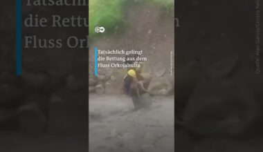 Hunde-Rettung per Kran | DW Nachrichten