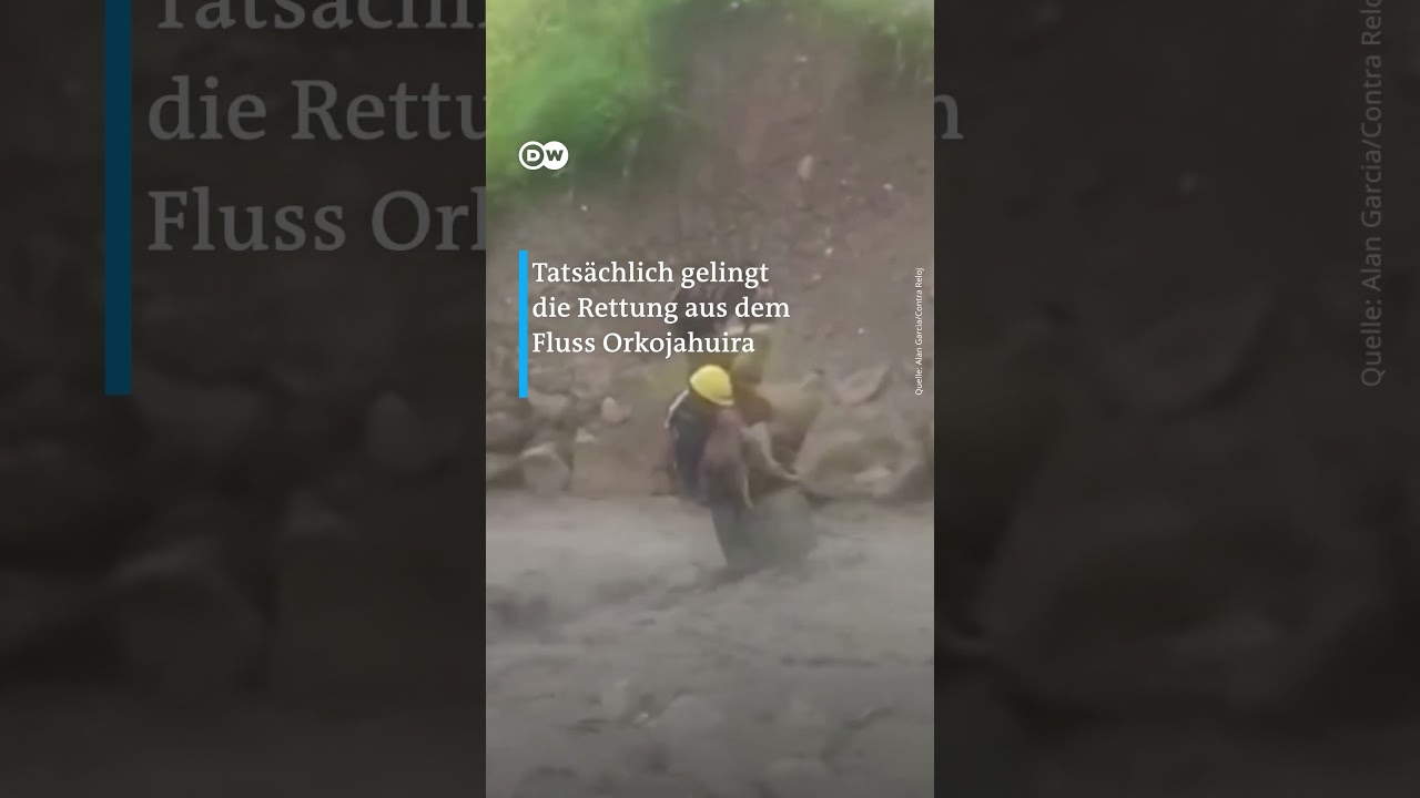 Hunde-Rettung per Kran | DW Nachrichten