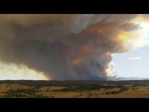 No Comment : des incendies ravagent un État du sud de l'Australie