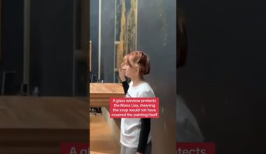 Watch protesters throw soup at the Mona Lisa painting in Paris