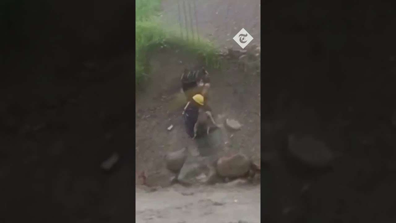 A dog trapped by raging flood water in Bolivia is rescued by a construction worker hung from a crane