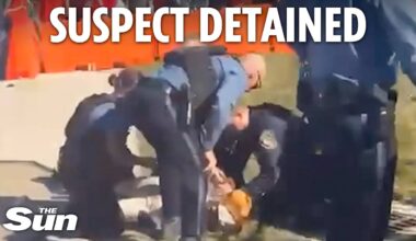 Moment police take Chiefs parade shooting suspect into custody