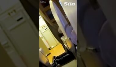 Moment ‘drunk’ passenger HEADBUTTS air steward before crew ties him to seat #shorts