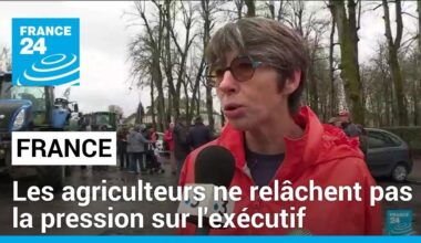 France : les agriculteurs ne relâchent pas la pression sur l'exécutif • FRANCE 24