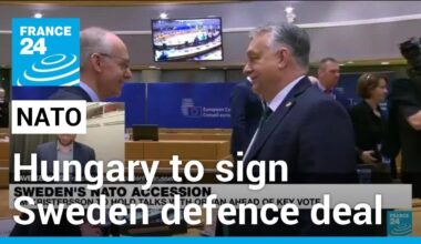 Hungary says will sign defence industry deal with Sweden amid NATO bid • FRANCE 24 English