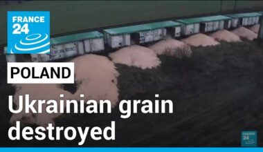 Ukraine blames ‘vandalism’ for grain spills at Polish border as tensions mount • FRANCE 24