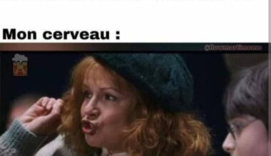 Meme du jour